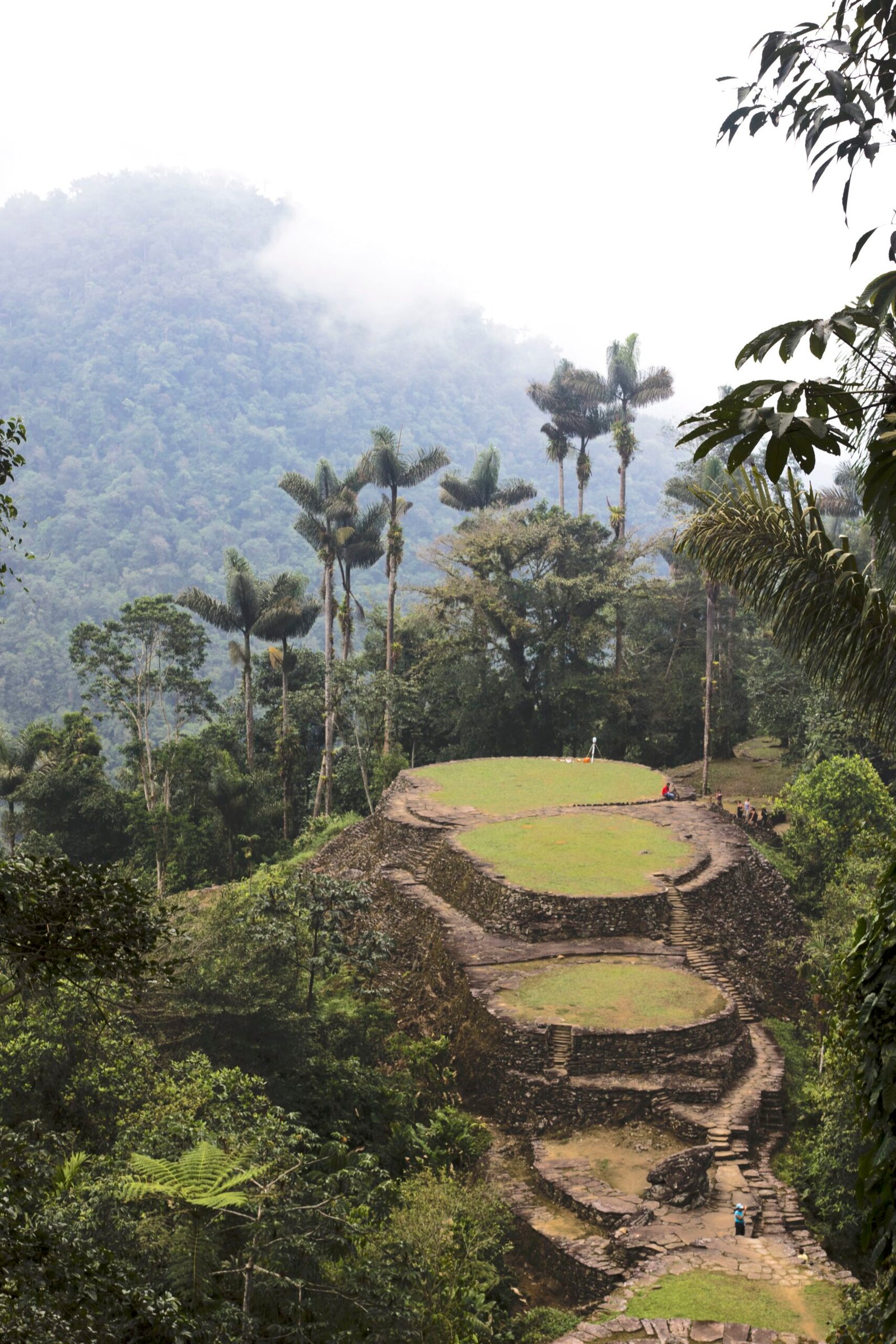 Ciudad Perdida rodeada de selva