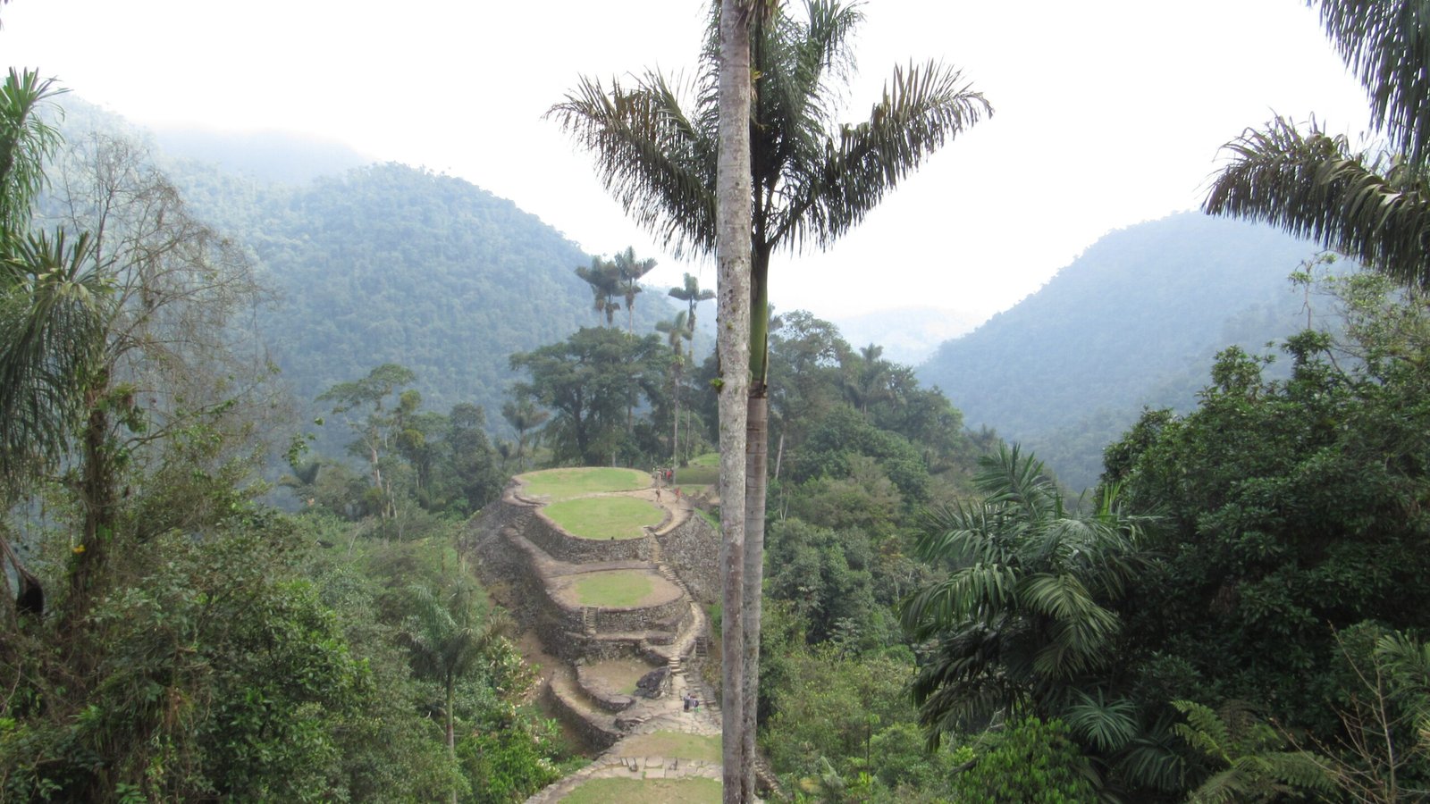 Terrazas de Ciudad Perdida entre la selva