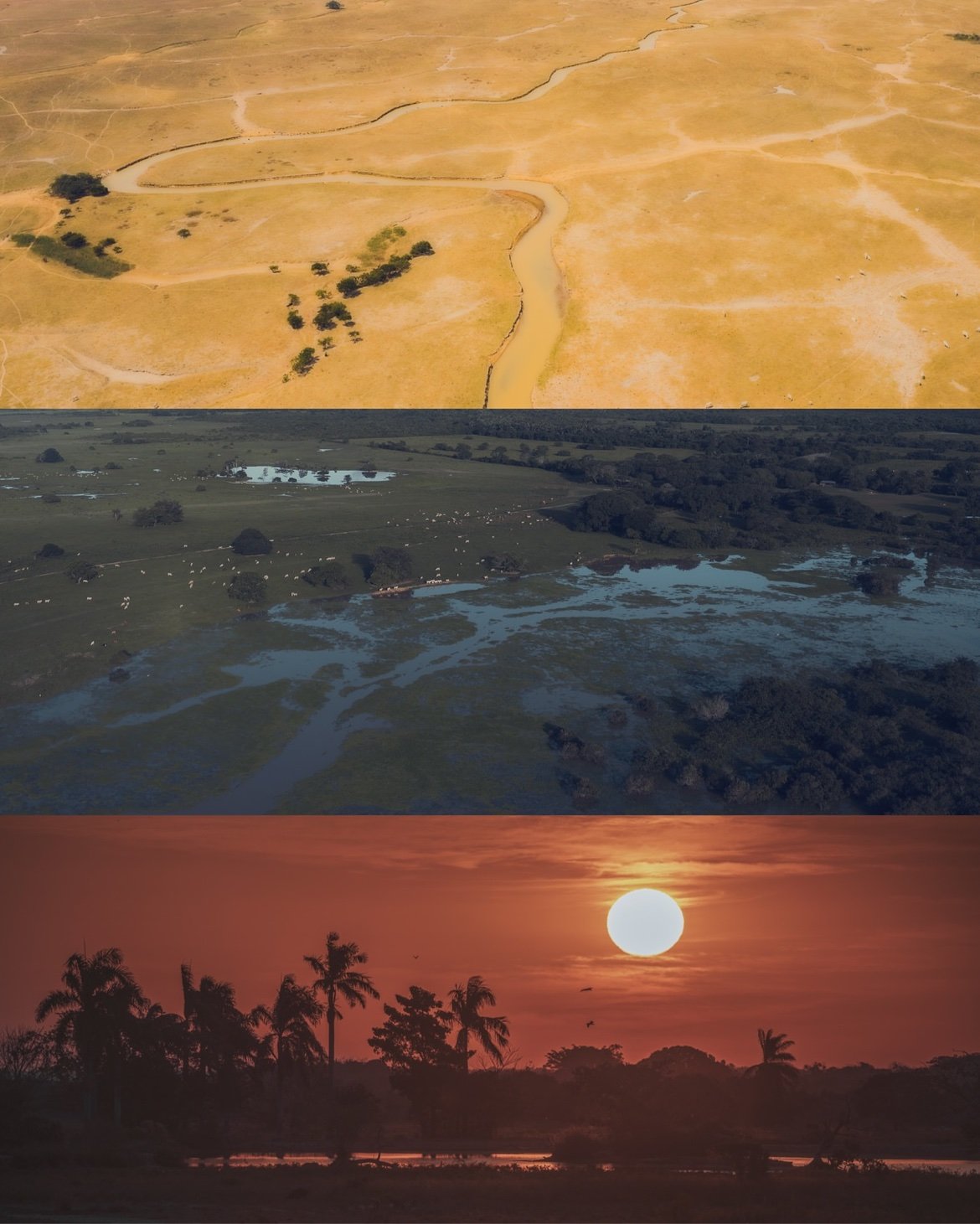 The plains from above: savanna, wetlands and sunset